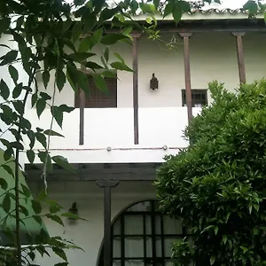 Patio Del Limonero España